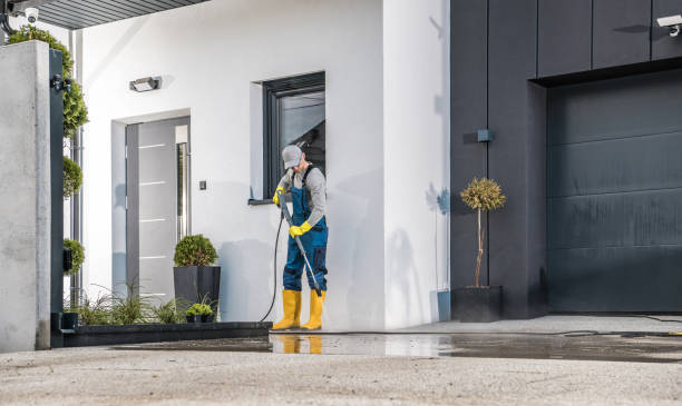 Animal Enclosure Cleaning in Dixmoor, IL